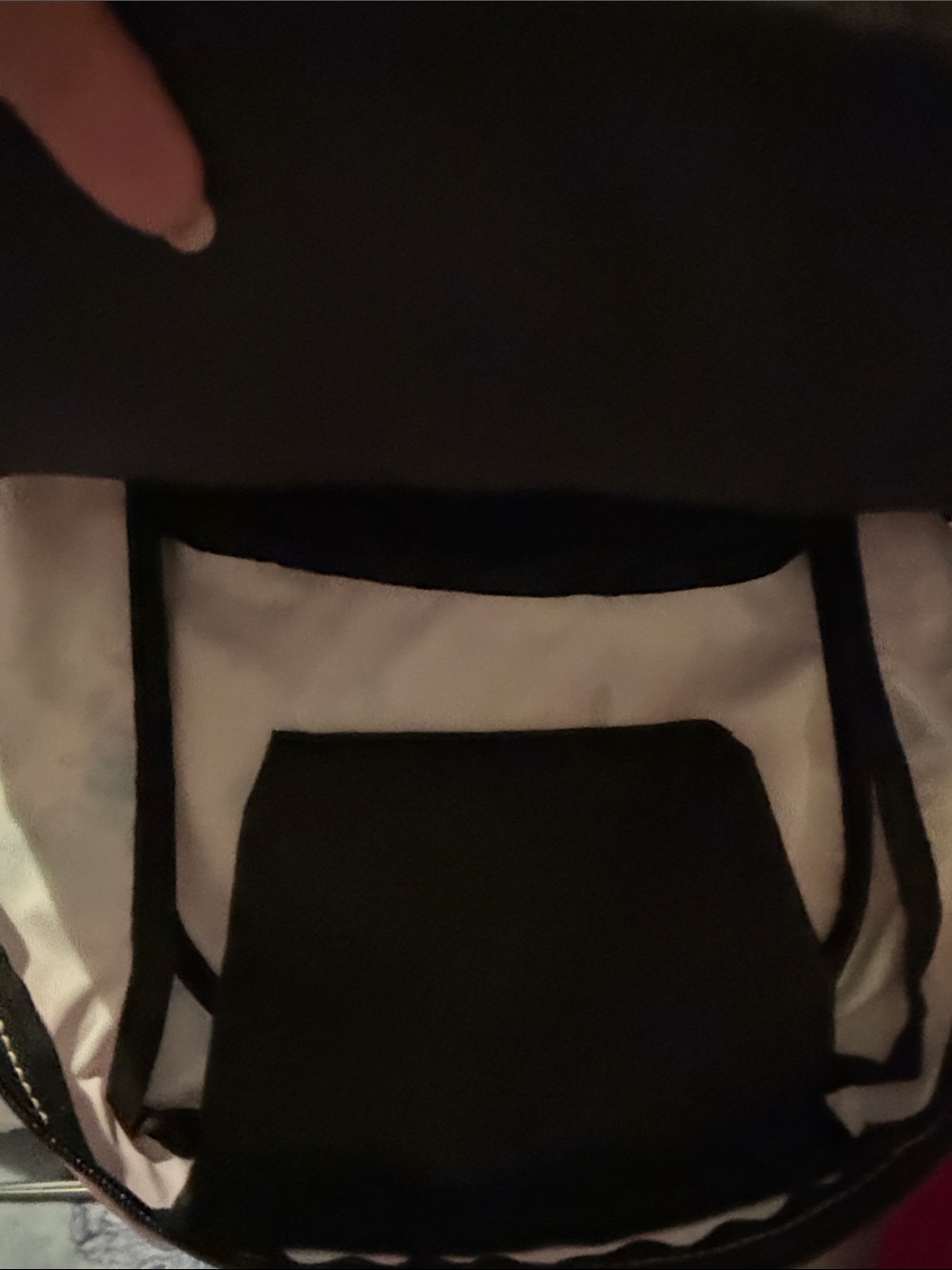 Backpack - Picture 2 of 2